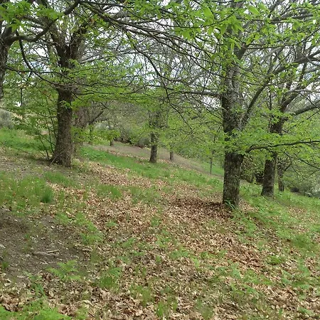 El Mirador De Los Trobos Villar de Otero