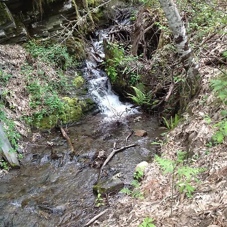 El Mirador De Los Trobos *