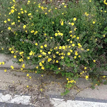 乡村民宿 洛特罗沃乡村民宿 Villar de Otero