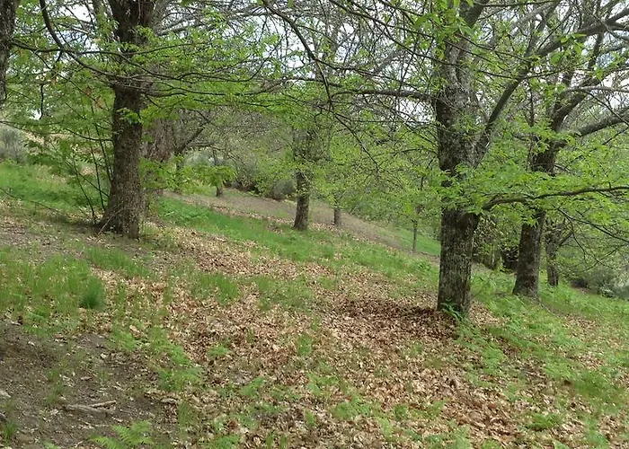 El Mirador De Los Trobos Villar de Otero