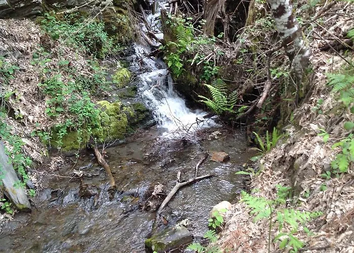 El Mirador De Los Trobos *