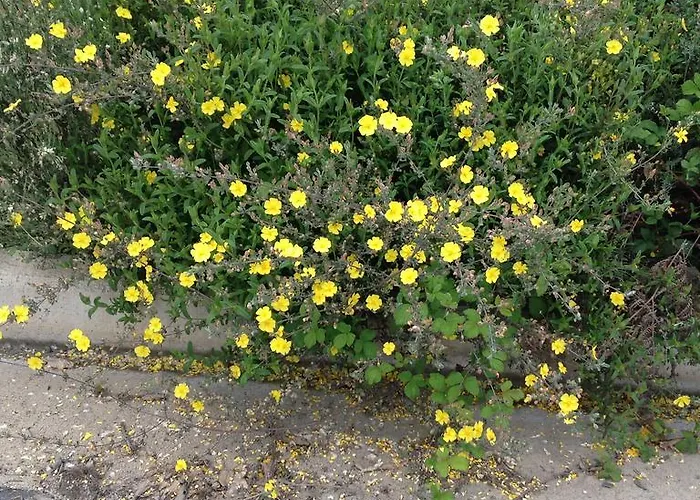 Kır Evi El Mirador De Los Trobos Villar de Otero